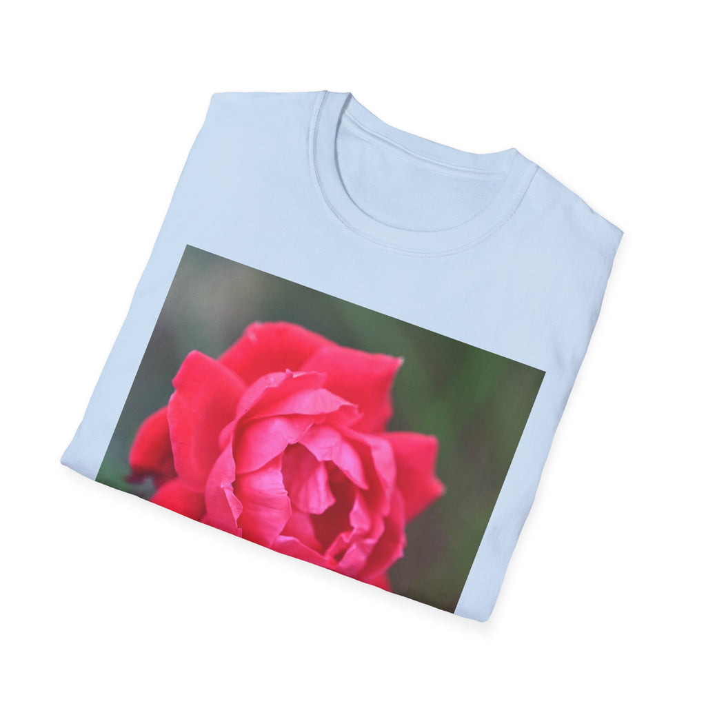 Rose Photo T-Shirt — "Loved, Chosen, Valued" Inspirational Floral Tee