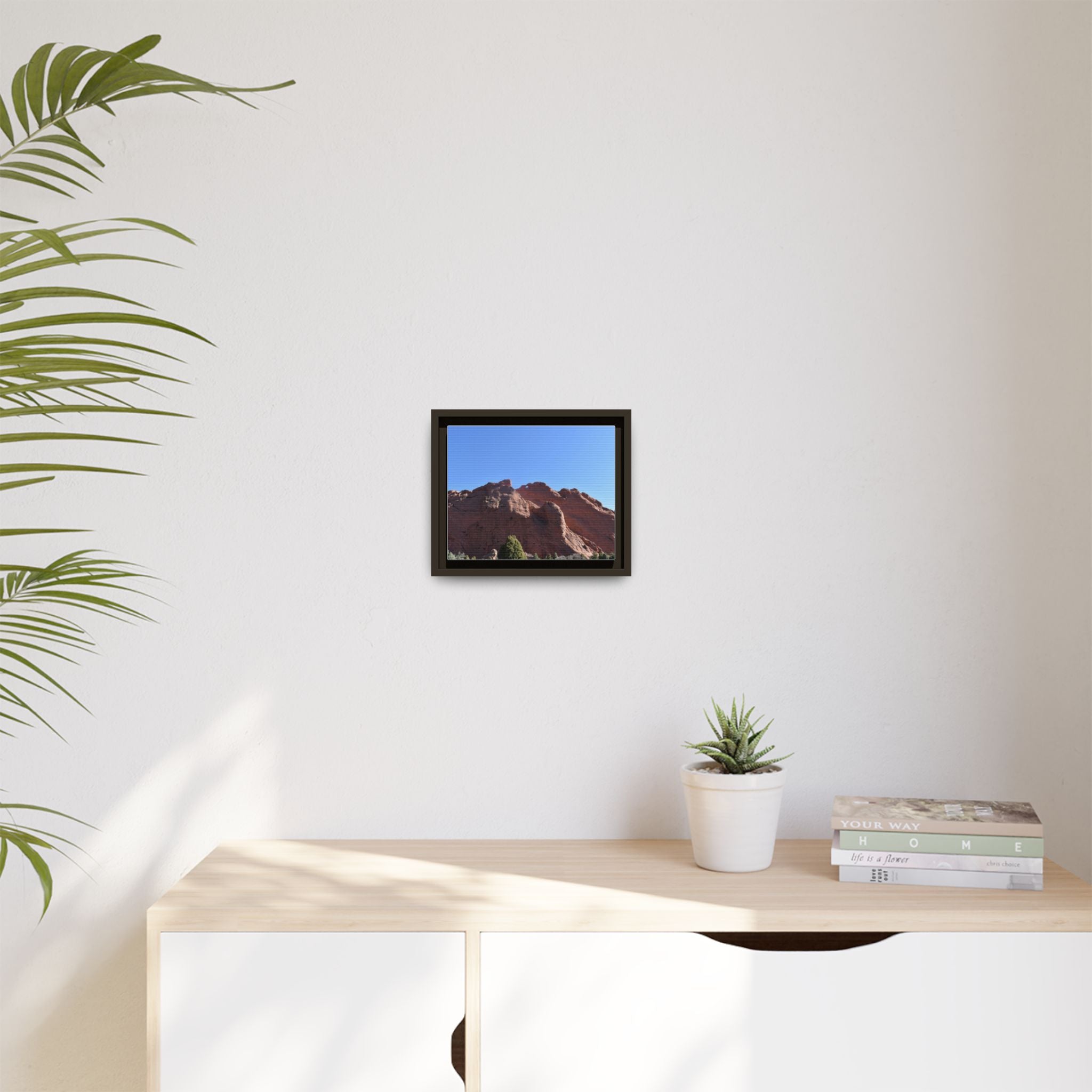 Harbor Seal Matte Canvas Framed Wall Art — Coastal Wildlife Photography Print