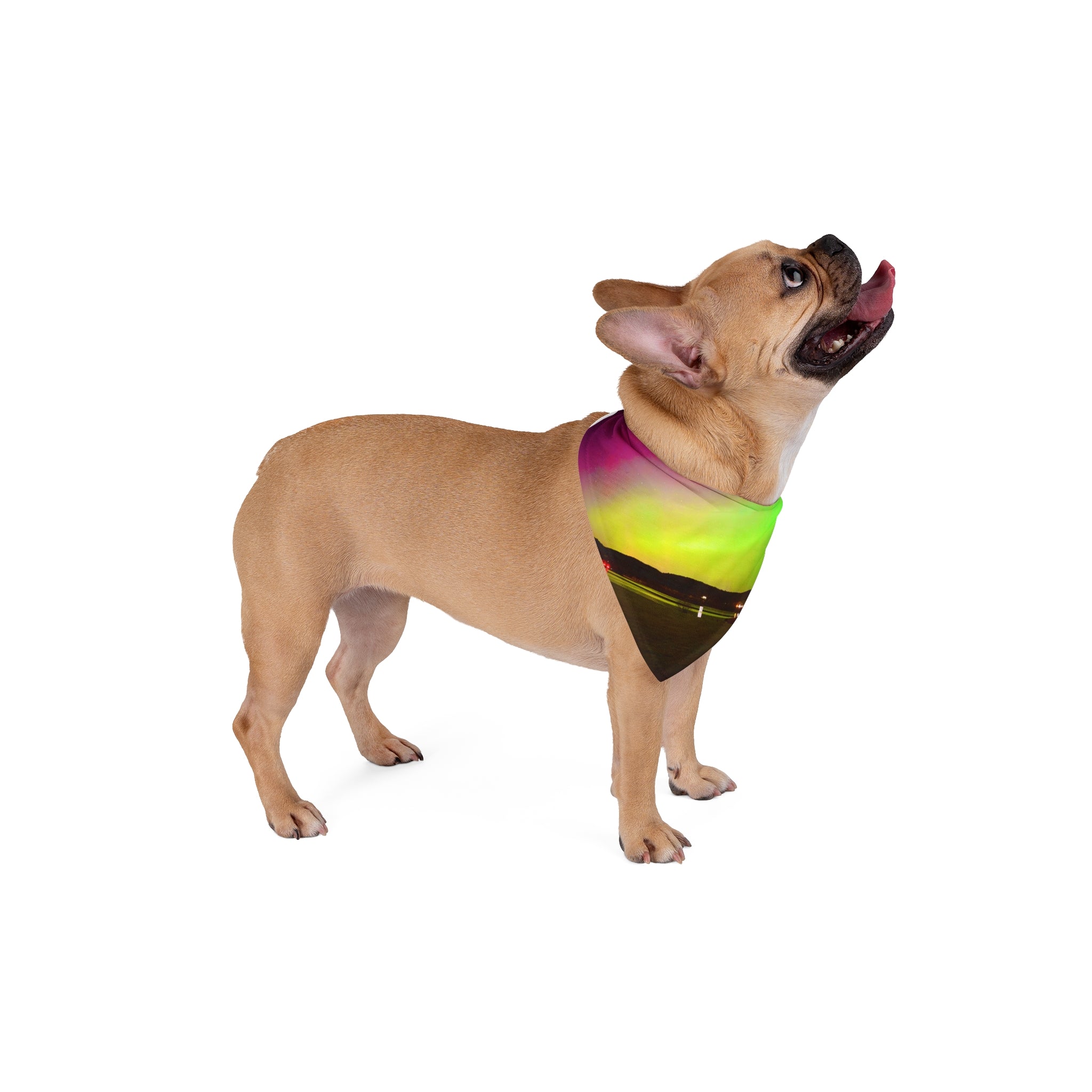 Aurora Night Sky Pet Bandana — Northern Lights Dog & Cat Scarf