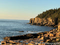 Rugged Coastline